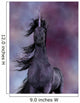 Black Unicorn