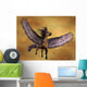 Gruella Pegasus Wall Mural
