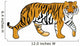 Hand Drawn Tiger Vector