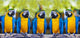 macaws sitting on log. Wall Mural
