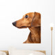 Dachshund dog Wall Decal