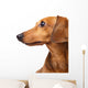 Dachshund dog Wall Decal