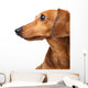 Dachshund dog Wall Decal