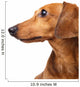 Dachshund dog Wall Decal