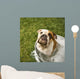 Bulldog Bath Wall Decal