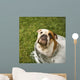 Bulldog Bath Wall Decal