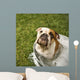 Bulldog Bath Wall Decal