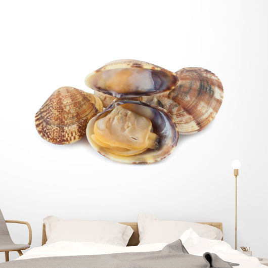 Clams Vi
