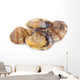 Clams Vi