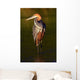Goliath Heron (Ardea goliath) Fishing at sunset Wall Mural