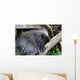 Urson Baumstachler Wall Mural