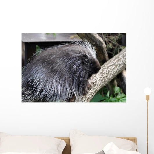 Urson Baumstachler Wall Mural