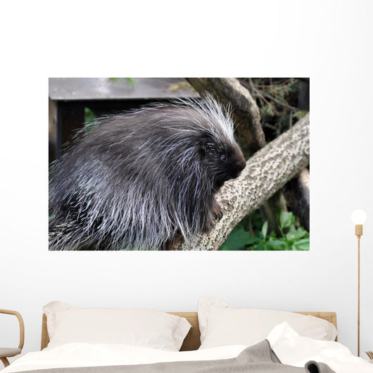 Urson Baumstachler Wall Mural