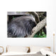 Urson Baumstachler Wall Mural