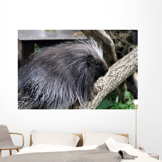 Urson Baumstachler Wall Mural