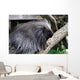 Urson Baumstachler Wall Mural