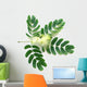 Leaf and Flower of Acacia Lebeck Wall Decal