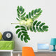 Leaf and Flower of Acacia Lebeck Wall Decal