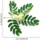 Leaf and Flower of Acacia Lebeck Wall Decal
