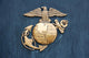 United States Marine Corps Insignia in Gold Wall Mural