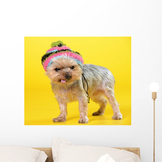 Dog Wall Mural