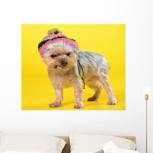 Dog Wall Mural