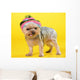 Dog Wall Mural
