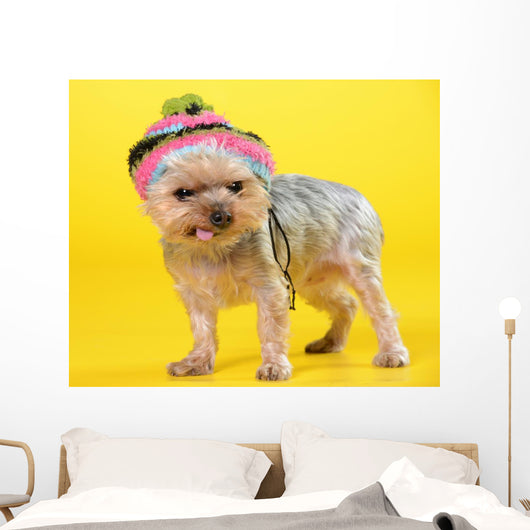 Dog Wall Mural