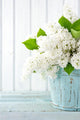 White Lilac Spring Flowers