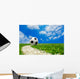 Soccer Ball Field