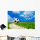 Soccer Ball Field