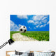 Soccer Ball Field