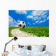 Soccer Ball Field