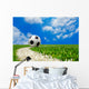 Soccer Ball Field