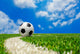 Soccer Ball Field