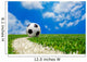 Soccer Ball Field