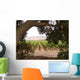 California Winery Wall Mural