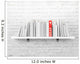 Blank Books Shelf and