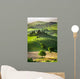 Farm Olive Groves and