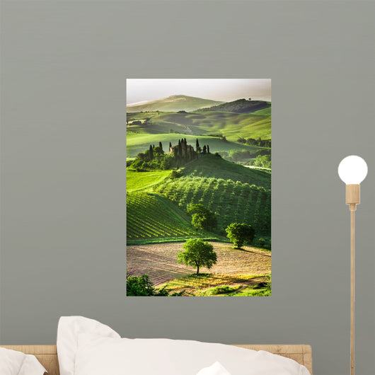 Farm Olive Groves and