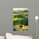 Farm Olive Groves and