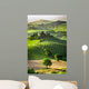 Farm Olive Groves and