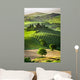 Farm Olive Groves and