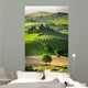 Farm Olive Groves and