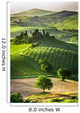 Farm Olive Groves and