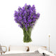 bunch of lavender isolated on white Wall Decal