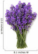 bunch of lavender isolated on white Wall Decal