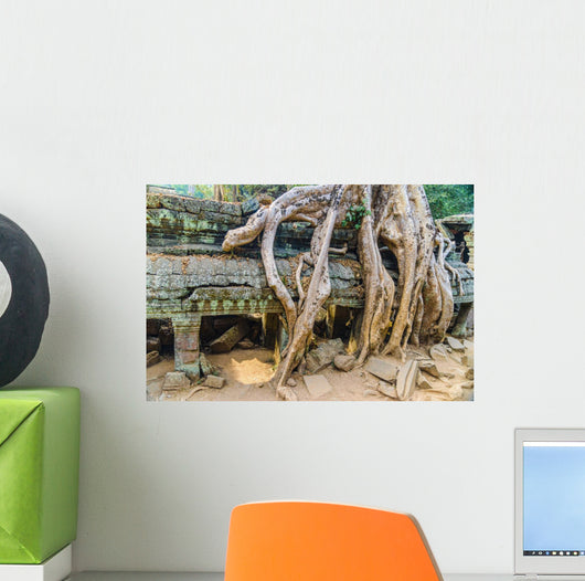 Giant Tree Roof