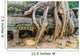 Giant Tree Roof