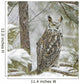 Long Eared Owl in Snowfall Wall Mural